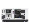 Electric Marine Fish Diesel Generator Diesel Welding Generator for Sale Price