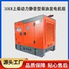 Shanghai New Power 30kw Home Use Portable Silent Three Phase Diesel Power Generator