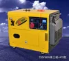 Silent Electric Generator Set 5kw 10kw Automatic/Remote Portable Gasoline Generator Set